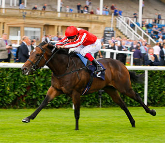 Ardad - Frankie Dettori wins  The Pepsi Max Flying Childers Stakes (Group 2)  Doncaster 9 9 16   Cranhamphoto com