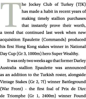 The Jockey Club of Turkey (TJK) has made a habit in recent years of making timely stallion purchases that instantly p   