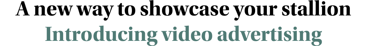 A new way to showcase your stallion Introducing video advertising
