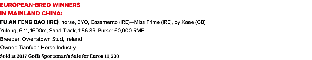 EUROPEAN-BRED WINNERS IN MAINLAND CHINA: Fu An Feng Bao (IRE), horse, 6YO, Casamento (IRE)—Miss Frime (IRE), by Xaae ...