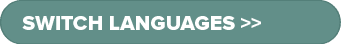 switch languages >