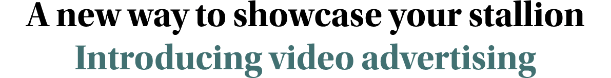 A new way to showcase your stallion Introducing video advertising
