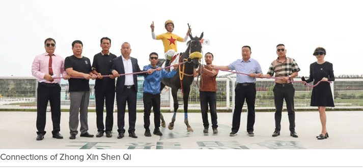 Connections of Zhong Xin Shen Qi 