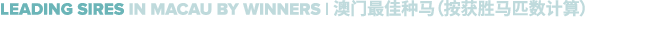 Leading sires in macau by winners | 澳门最佳种马（按获胜马匹数计算）
