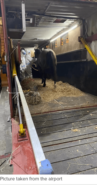 Picture taken from the airport 