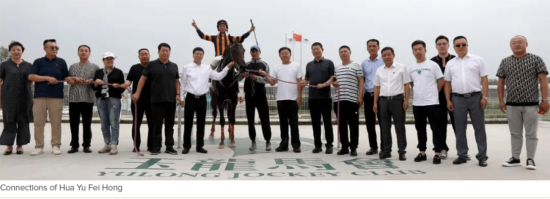 Connections of Hua Yu Fei Hong 